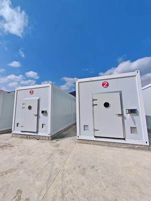 রিমোট মনিটরিং এবং স্ট্যান্ডার্ড 20ft বা 40ft কনটেইনার সহ কম রক্ষণাবেক্ষণ মাশরুম কনটেইনার ফার্ম