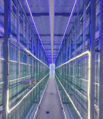 মাশরুম চাষ