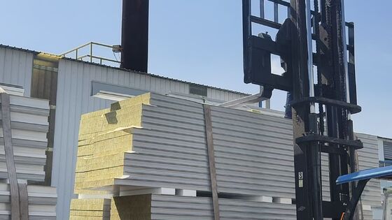 উচ্চ পরিচ্ছন্নতার পরিবেশের জন্য কাস্টমাইজযোগ্য বেধ সহ সাউন্ড আইসোলেশন অগ্নিরোধী ক্লিনরুম স্যান্ডউইচ প্যানেল