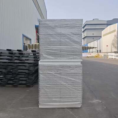 উচ্চ পরিচ্ছন্নতা পরিবেশের জন্য কাস্টমাইজযোগ্য পুরুত্বের ফায়ারপ্রুফ এবং ওয়াটারপ্রুফ ক্লিনরুম স্যান্ডউইচ প্যানেল