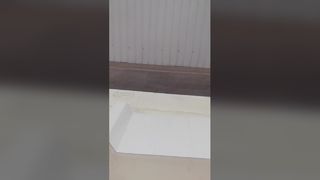 ছাদ প্যানেল